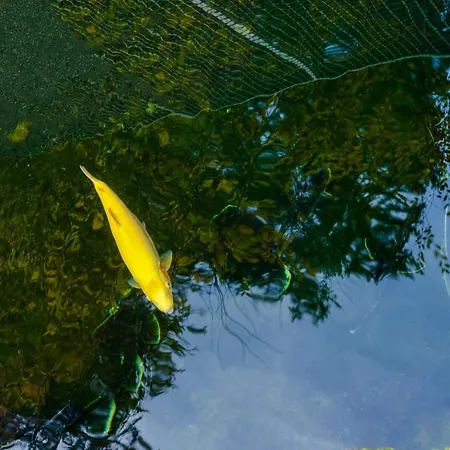 فندق مبيت وإفطار Svatosske Skaly